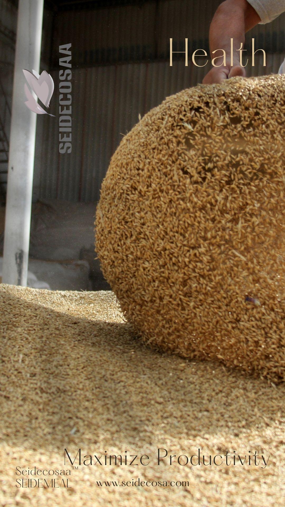 Enhance Animal Health, Boost Feed Efficiency, and Maximize Productivity with This Next-Gen Feed Ingredient
