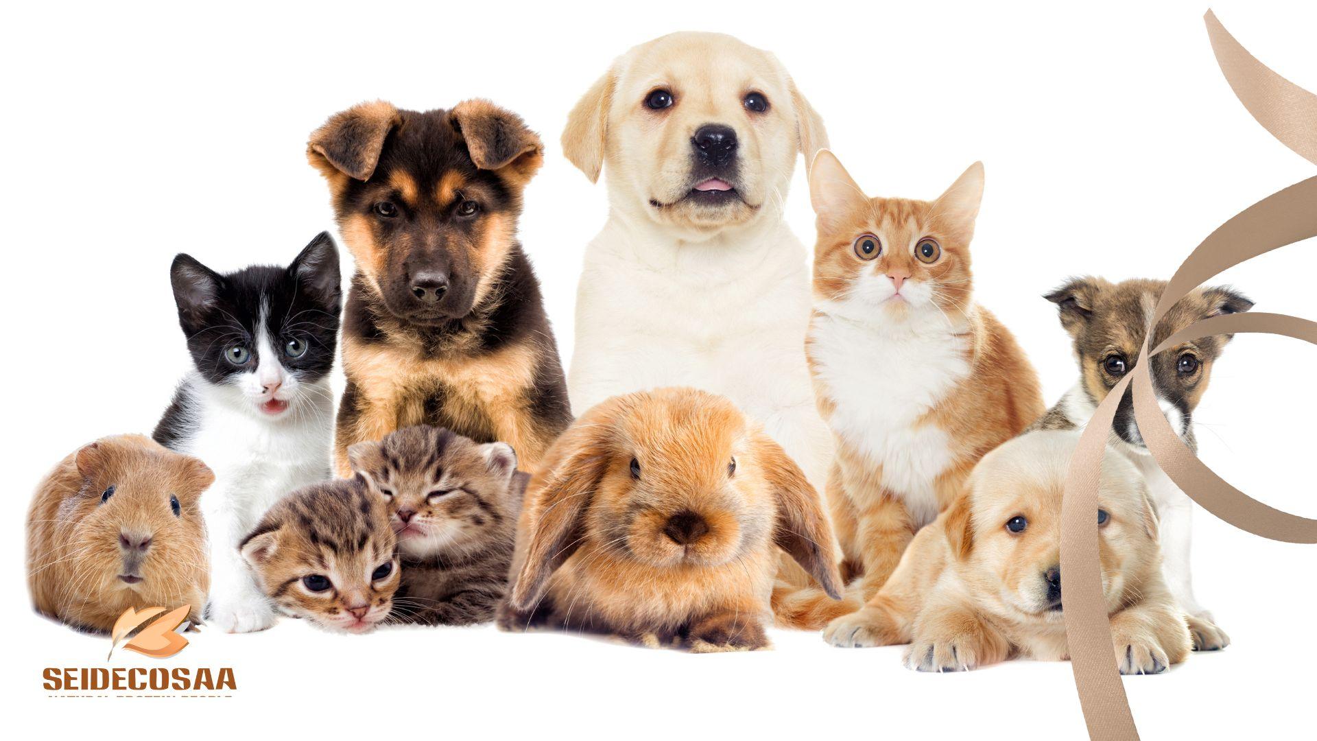 Pet Feed Livestock Aqua-1 (10)