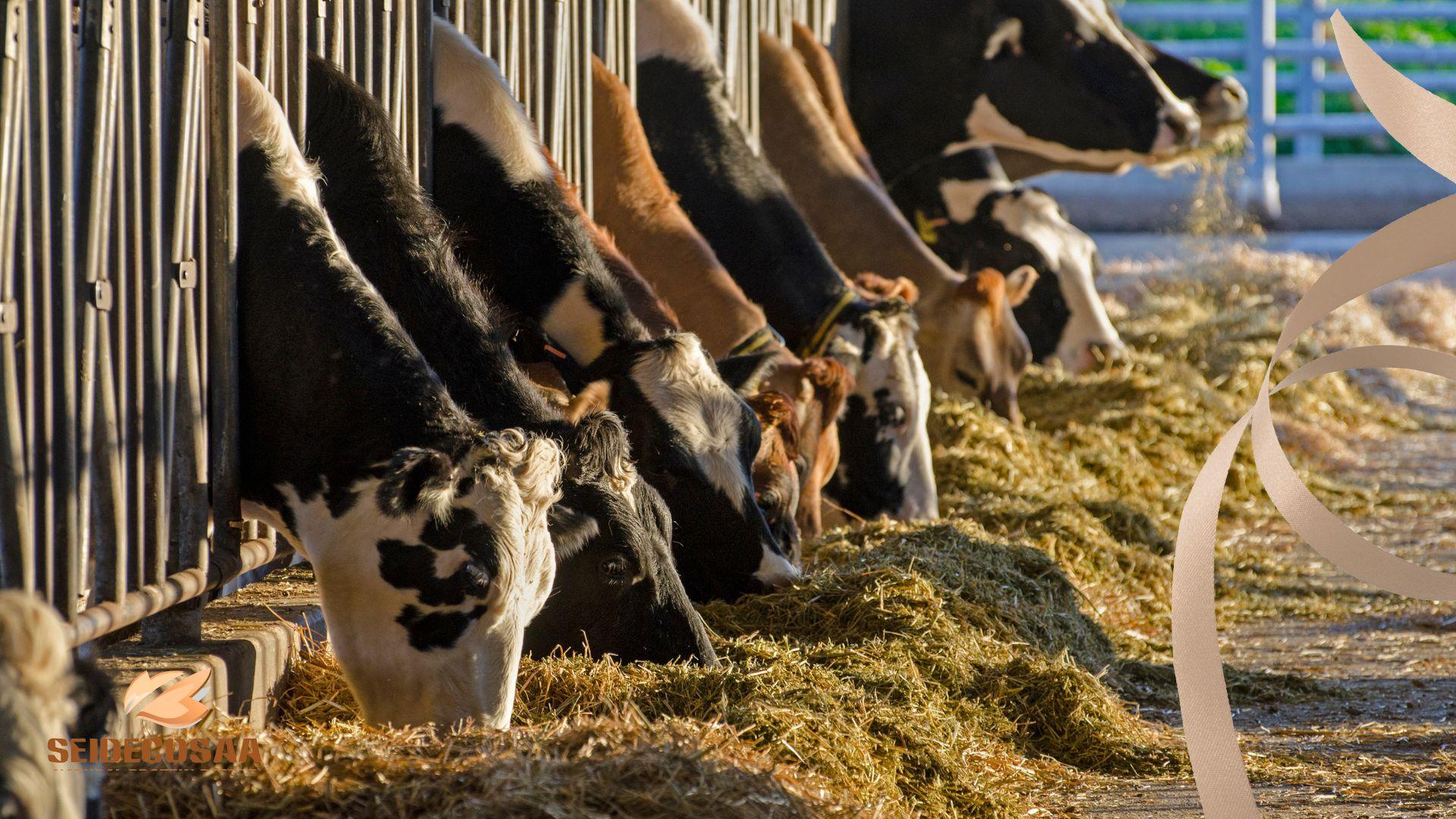 Pet Feed Livestock Aqua-1 (14)